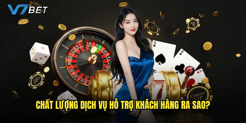 Chất lượng dịch vụ hỗ trợ khách hàng ra sao?
